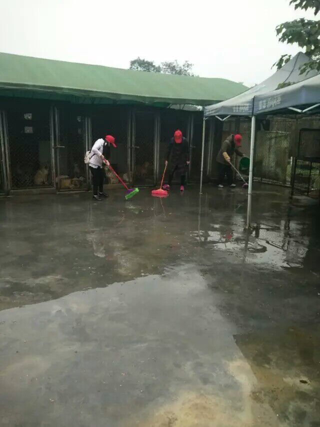 环境青工部赴启明开展志愿活动 环境青工部赴启明开展志愿活动