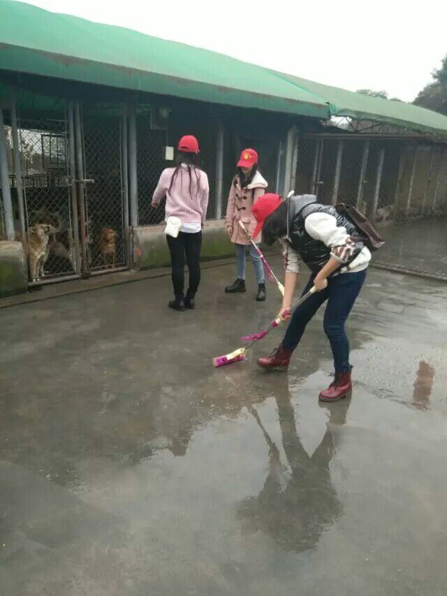 环境青工部赴启明开展志愿活动 环境青工部赴启明开展志愿活动